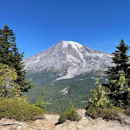 New Modern Cabin! 5Mi To Mt Rainier National Park! Hot Tub & Wifi Ashford Ngoại thất bức ảnh