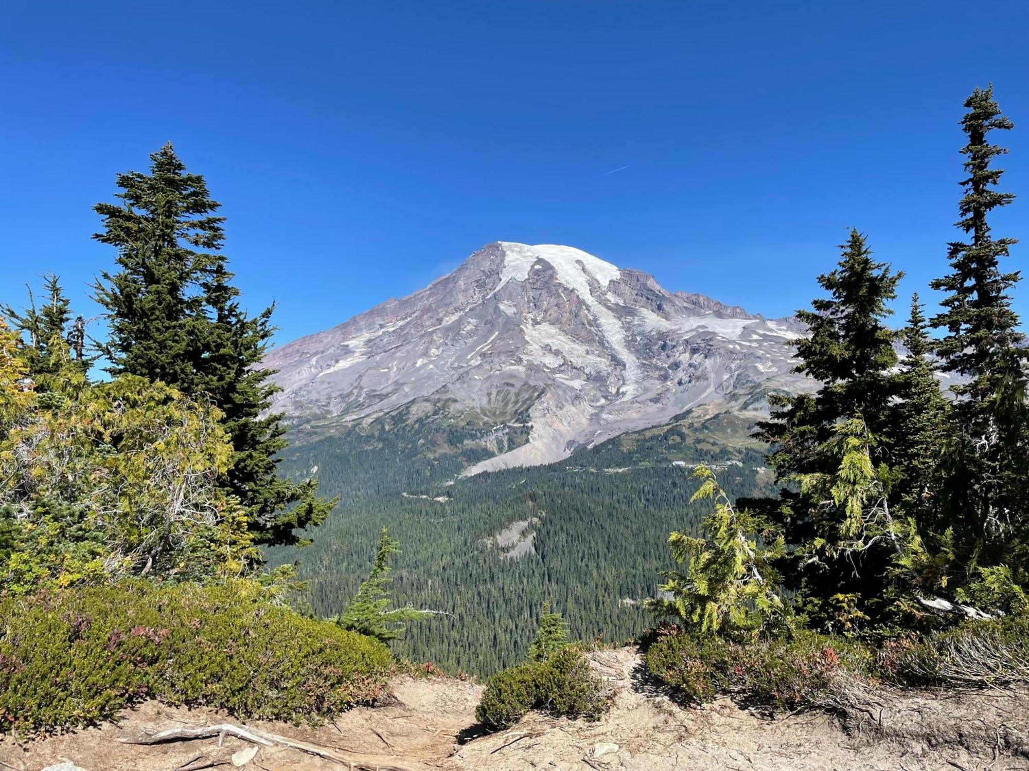 New Modern Cabin! 5Mi To Mt Rainier National Park! Hot Tub & Wifi Ashford Ngoại thất bức ảnh