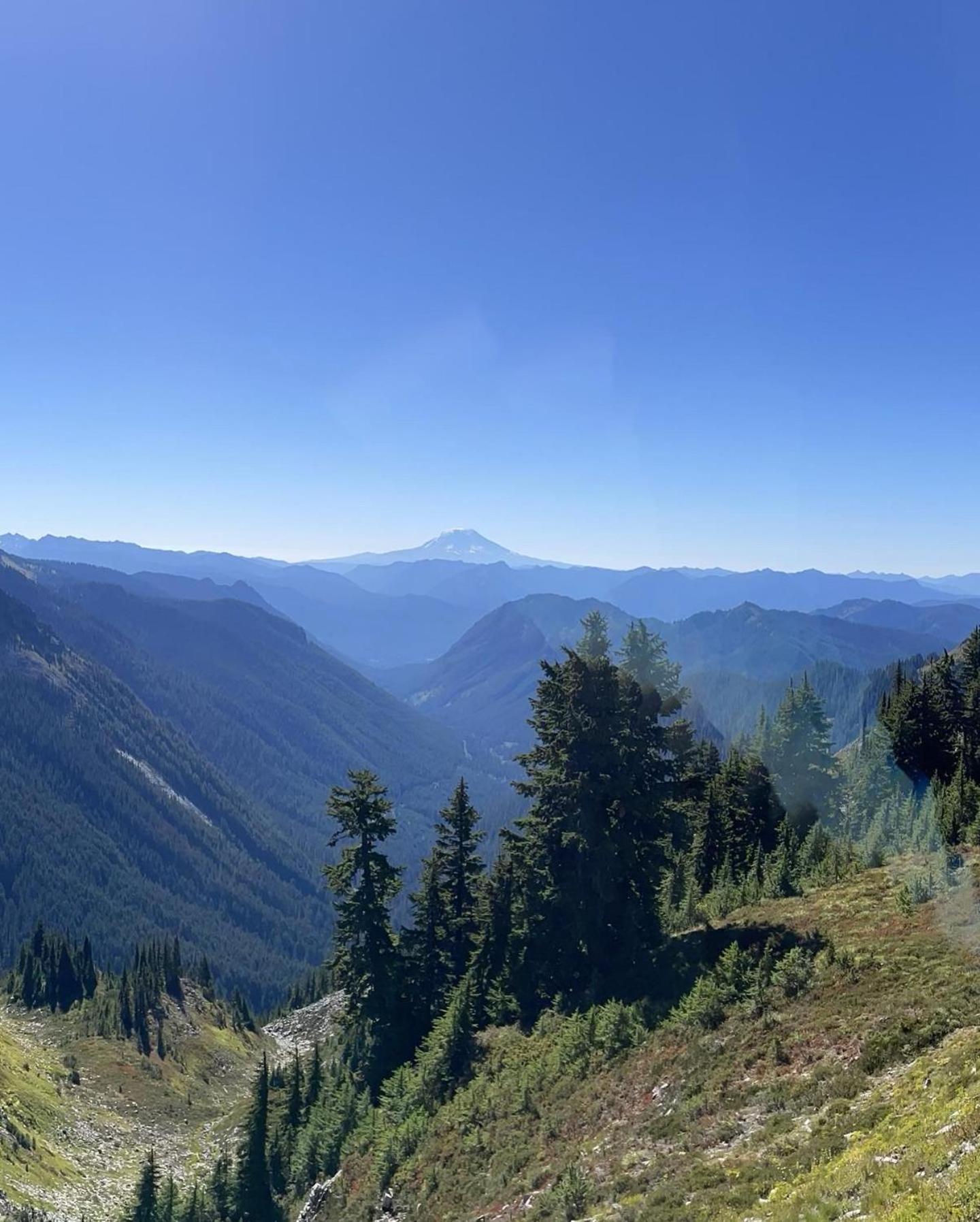 New Modern Cabin! 5Mi To Mt Rainier National Park! Hot Tub & Wifi Ashford Ngoại thất bức ảnh
